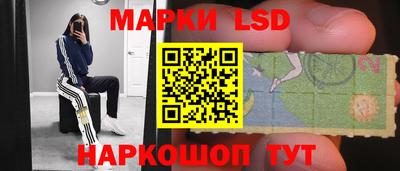 прущие грибы Абинск