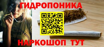 прущие грибы Абинск