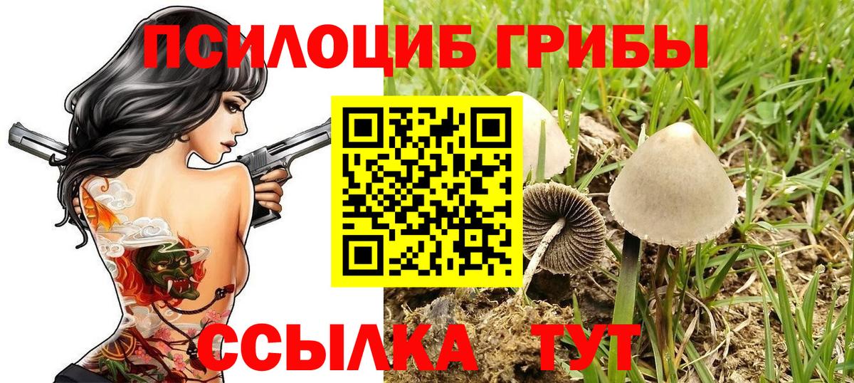 Галлюциногенные грибы прущие грибы Азнакаево