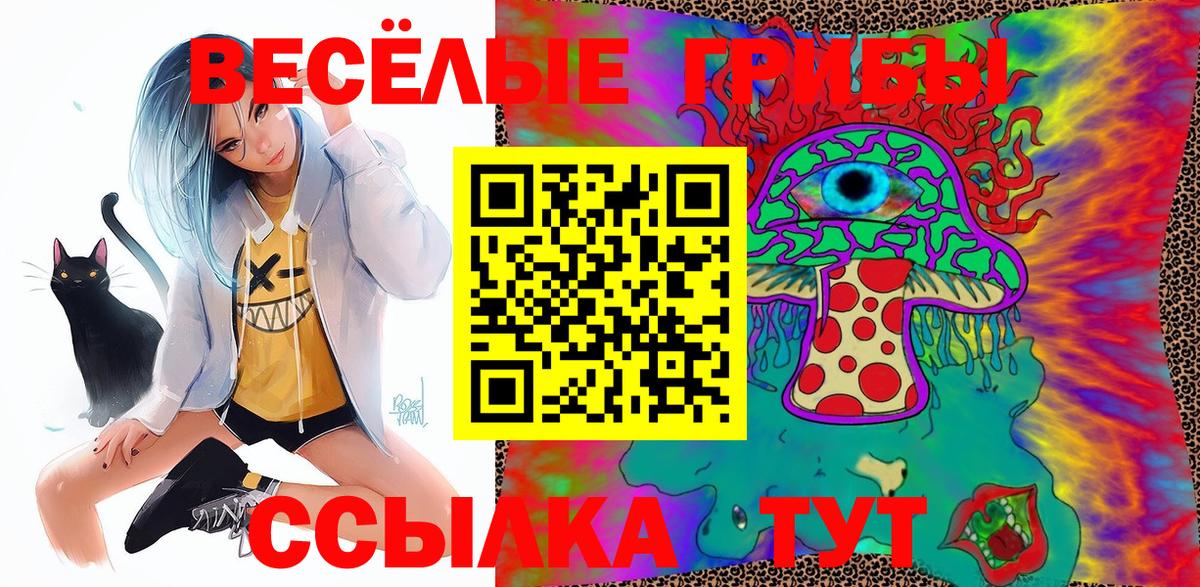 Азнакаево  что такое   Вход с VPN  Галлюциногенные грибы MAGIC MUSHROOMS 