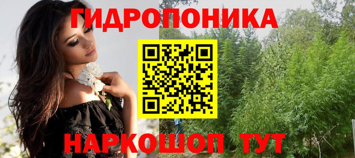 Канабис план  Вход с VPN  Азнакаево  Бошки Шишки AK-47 